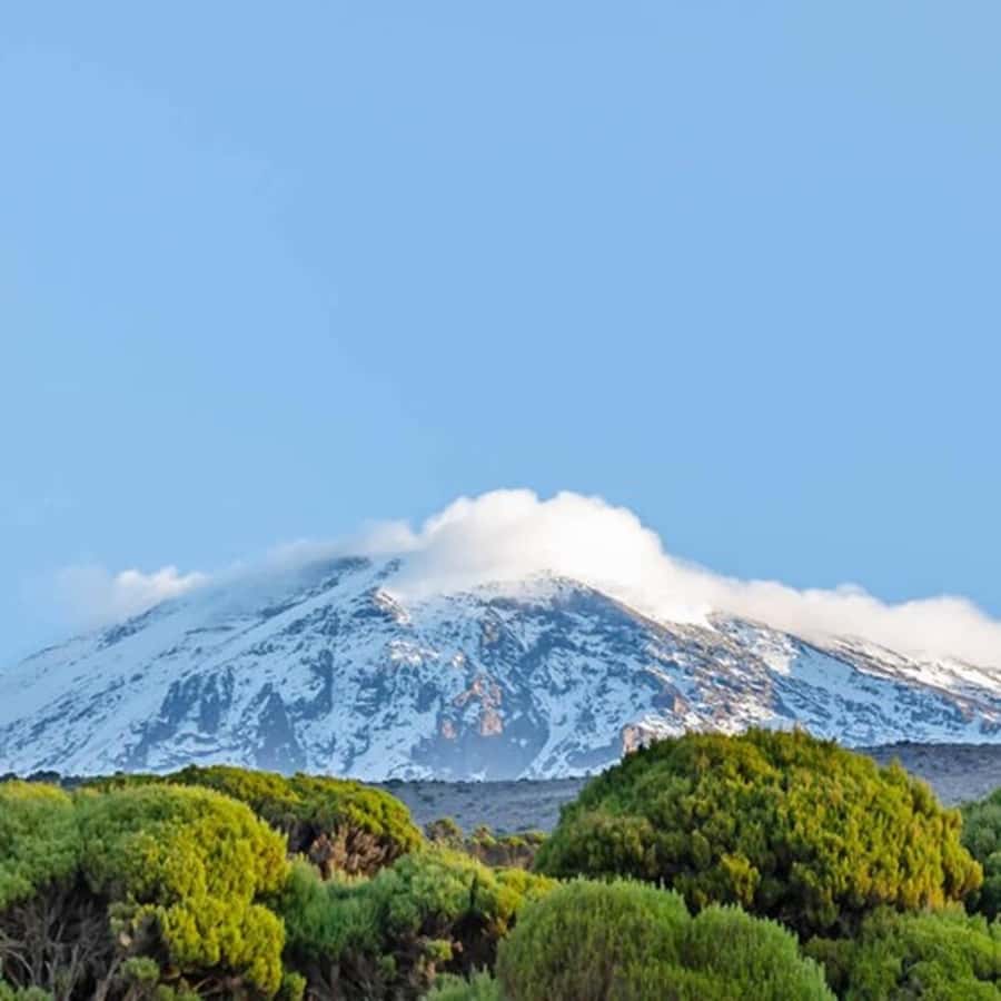 #1. Best Kilimanjaro Day hike Tour-Machame Route-ISMANI - What this Kilimanjaro day hike really offers
