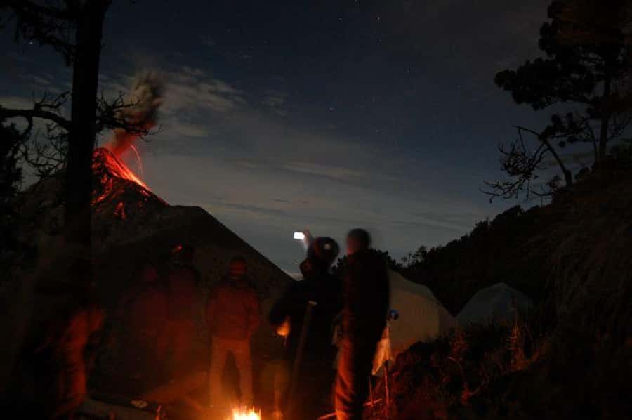 1 Day Acatenango Volcano Hike from Antigua - Conifer forest, dry forest, and the tree line