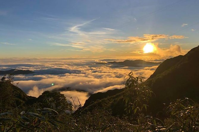 1 day Fansipan Trekking - Choosing Between Hiking Down and the Cable Car