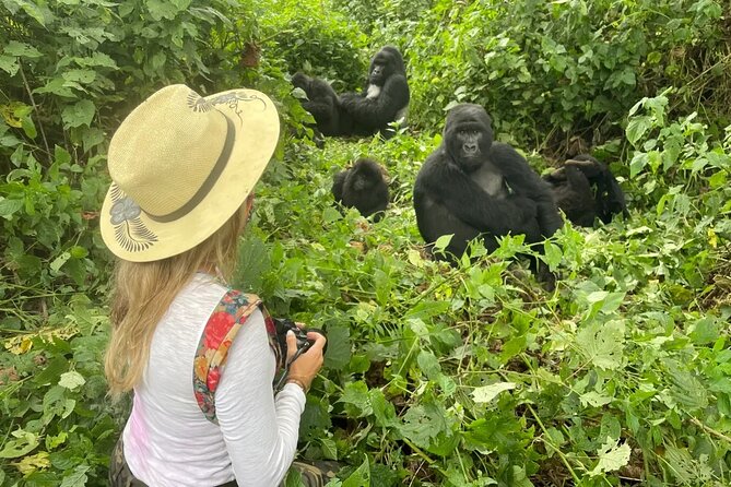 1 Day Rwanda Gorilla Trekking Tour In The Volcanoes National Park - The gorilla trek can take two to five hours