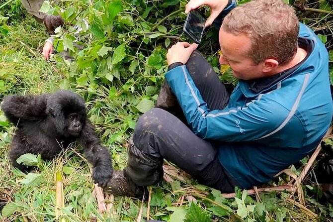 1 Day Rwanda Gorilla Trekking Tour In The Volcanoes National Park - Reaching Volcanoes National Park and Kinigi