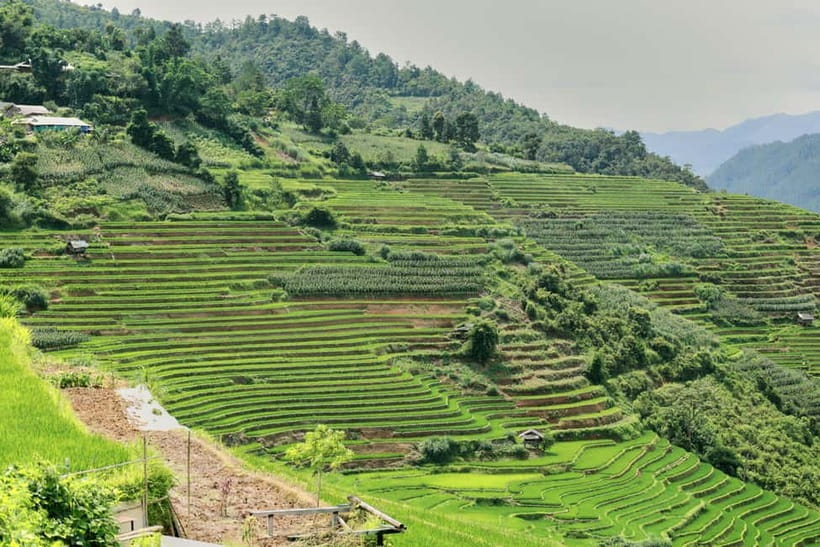 1-Day Sapa Long Trek - Rice Field Terrace, Ethnic Culture - Who should book this Sapa trekking day