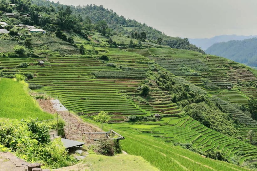 1-Day Sapa Long Trek - Rice Field Terrace, Ethnic Culture - What the guides add to the day