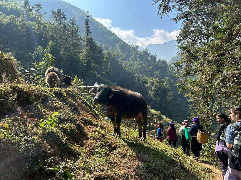 1 Day Sapa Trek&Home-cooked Lunch HmongSisterHouse&Trekking - What to bring and how to prepare