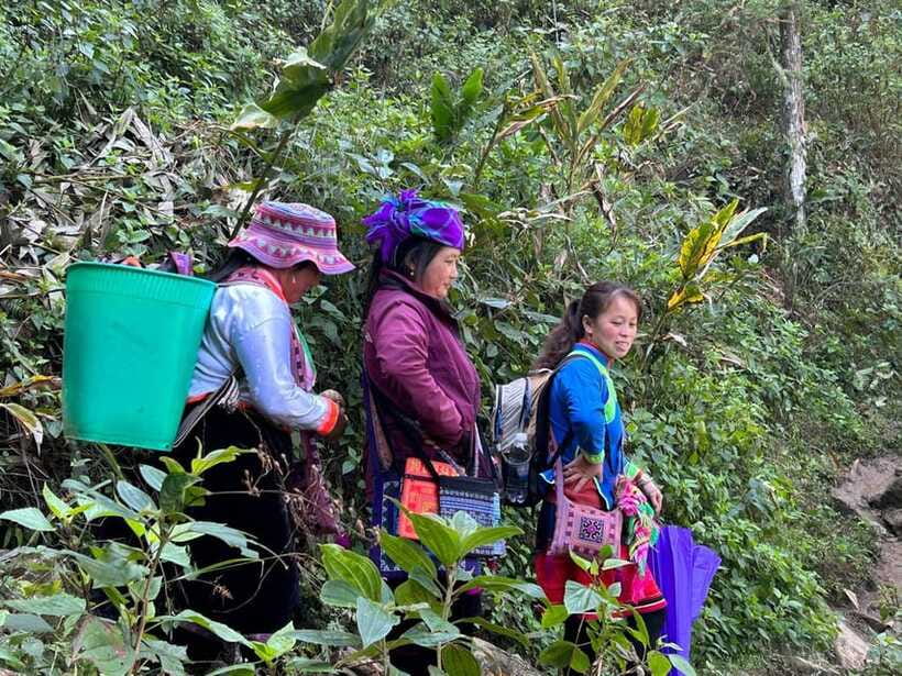 1 Day Sapa Trek&Home-cooked Lunch HmongSisterHouse&Trekking - Should you book this Sapa experience?