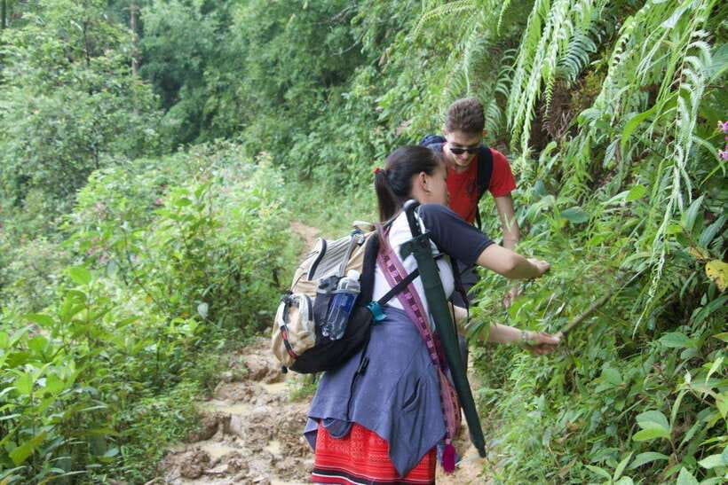 1 Day Sapa Trek&Home-cooked Lunch HmongSisterHouse&Trekking - What the Hmong guide adds to the walk