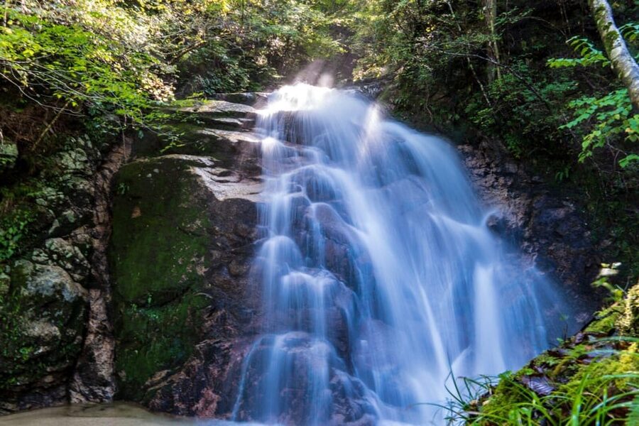 1-Day Tour from Nagoya: Hiking the Historic Nakasendo Trail - Eight Kilometers Through Forest and Mountain