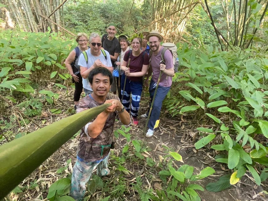 1 Day trekking : Chiang Rai popular activity,Fun in Nature. - Key points before you book