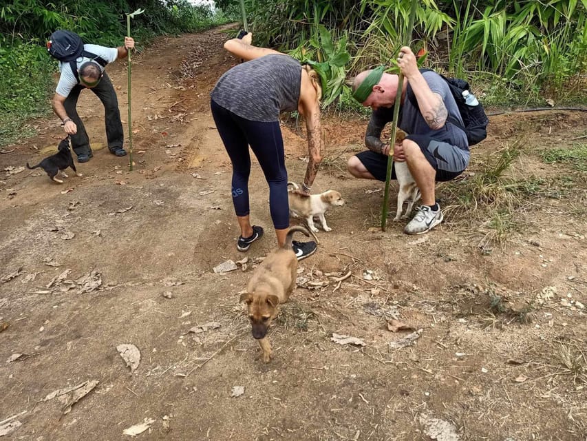1 Day trekking : Chiang Rai popular activity,Fun in Nature. - Chinese village and Chiang Rai tea country