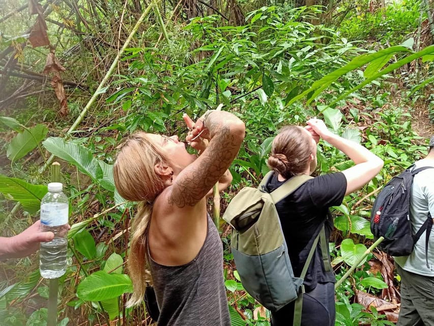 1 Day trekking : Chiang Rai popular activity,Fun in Nature. - Akha village, farmland, and Lahu village
