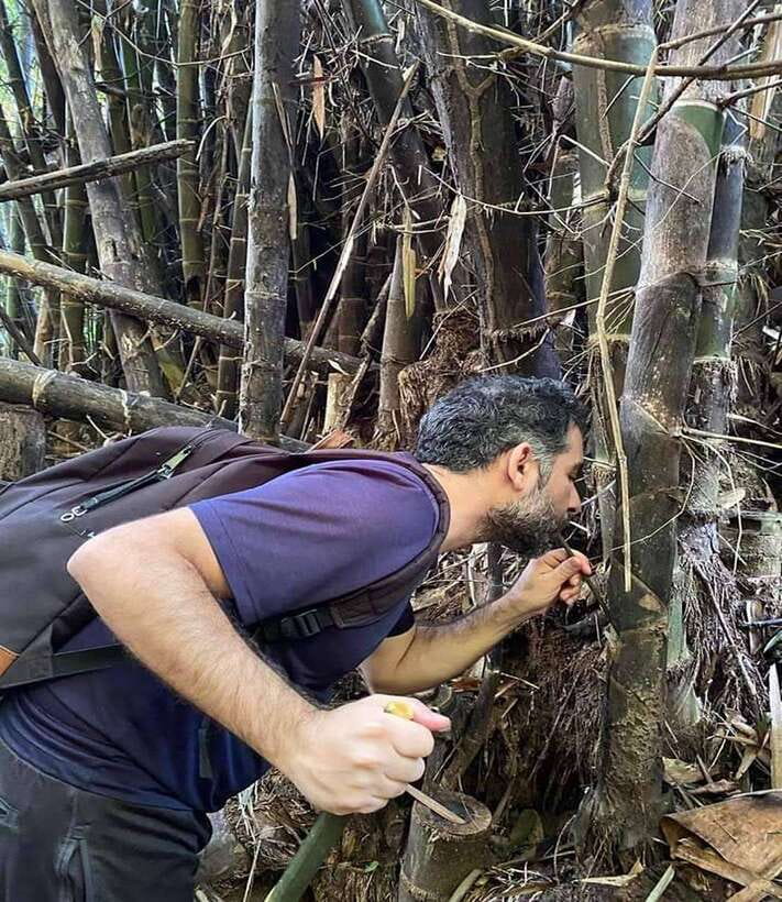 1 Day Trekking in Chiang Rai forest (walk only) - Who should book this Chiang Rai trek?