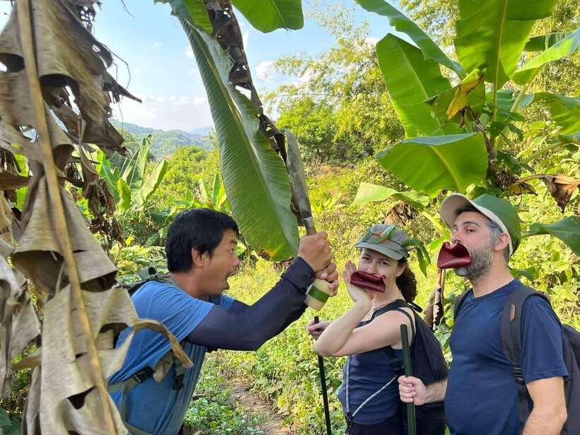 1 Day Trekking in Chiang Rai forest (walk only) - From Chiang Rai city to the forest trail