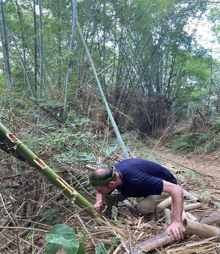 1 Day Trekking in Chiang Rai forest (walk only) - Bamboo lunch cooked in the forest