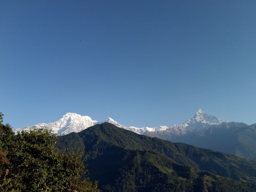 1 N 2 Days easy Dhampus,Australian camp trek from Pokhara - Why this short trek works from Pokhara