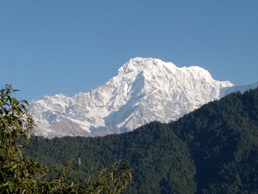 1 N 2 Days easy Dhampus,Australian camp trek from Pokhara - Australian Camp or Dhampus: which overnight suits you?