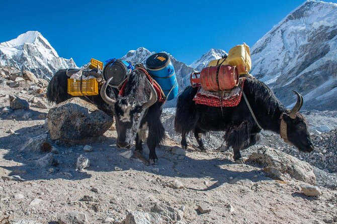 14 Days Private Tour Everest Base Camp Trek - Day 4: Acclimatization in Namche Bazaar