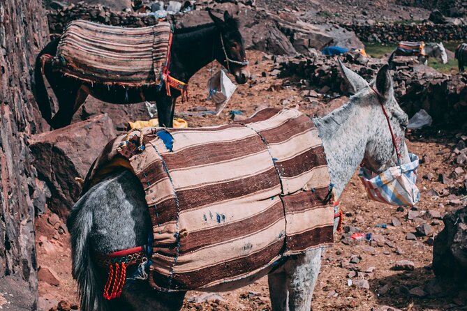 2 day mount toubkal trek ( private trek ) - Lunch at base camp, then the long return
