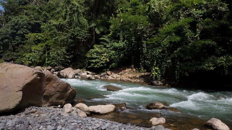 2 Days 1 Night Orangutan Trek Bukit Lawang - Key things to know before you go