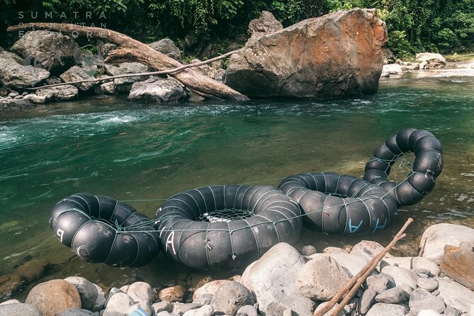 2 Days and 1 Night Ethical Jungle Trek - Day two: more forest, then a tube ride home