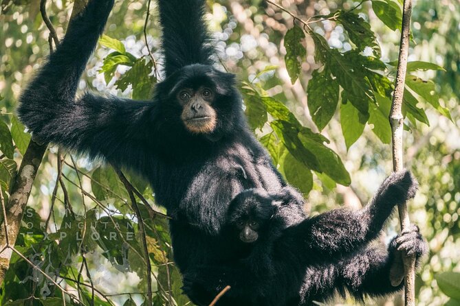 2 Days and 1 Night Ethical Jungle Trek - Who should book this trek?