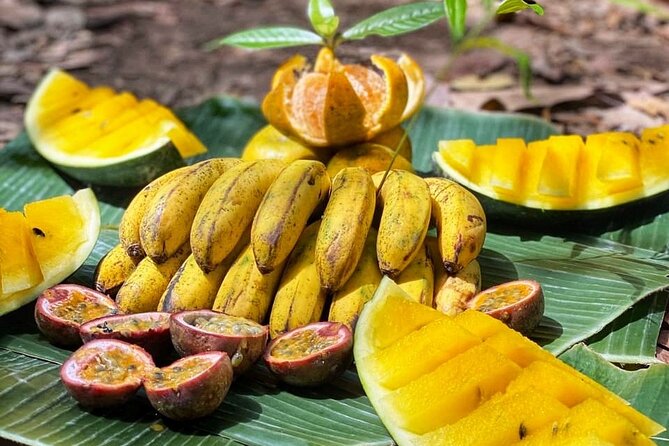 2 Days and 1 Night Ethical Jungle Trek - The rainforest campsite: simple, social, and close to water