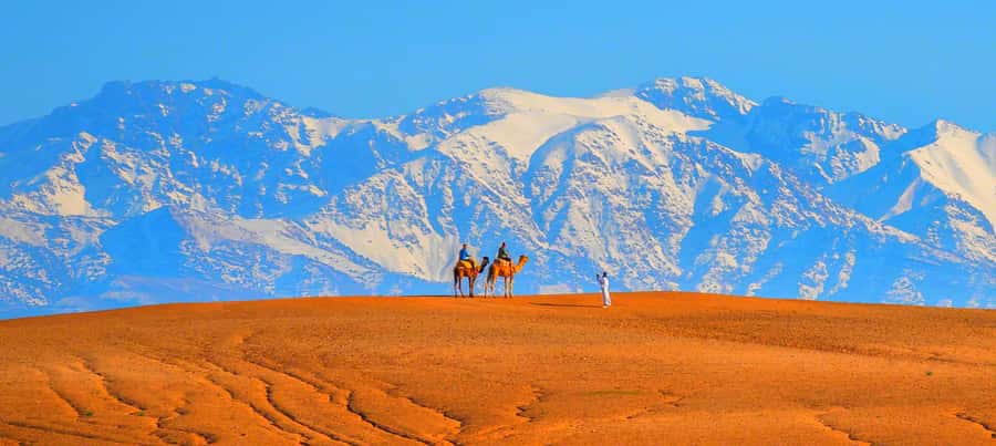 2 Days Desert Agafay and Atlas Mountains Trek From Marrakech - Who will enjoy this experience most?