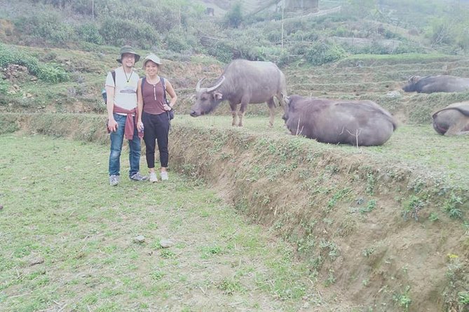2 days private Wildland Trek in Sapa - Who should book this private Sapa trek?