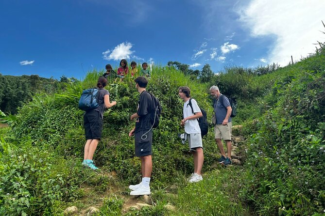 2 days private Wildland Trek in Sapa - Day one: forests, terraces, and a waterfall picnic