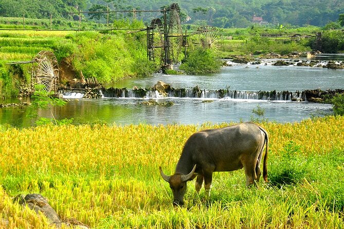 2 Days Pu Luong Offbeat Trekking Best for Mountain Lovers - Why Pu Luong works for a short mountain escape