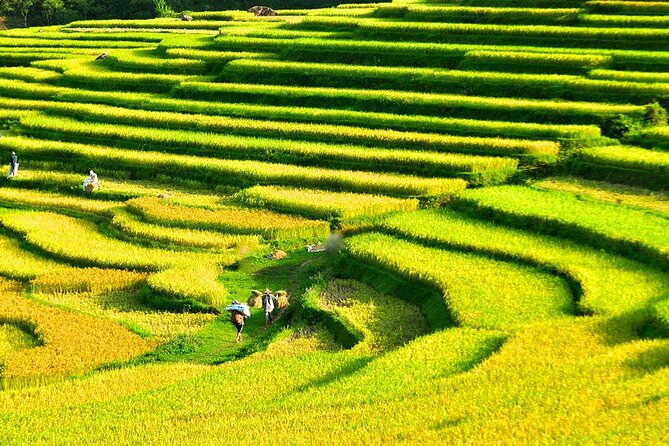 2 Days Pu Luong Offbeat Trekking Best for Mountain Lovers - Sleeping in a traditional stilt house