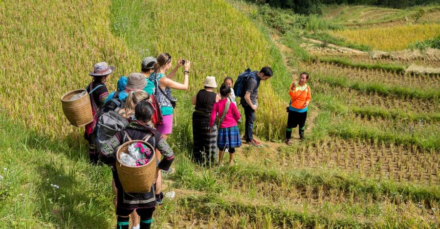 2 Night Lao Chai-Ta Van Homestay- Trekking & Fansipan Visit - Day 2: The best walking day through Muong Hoa Valley