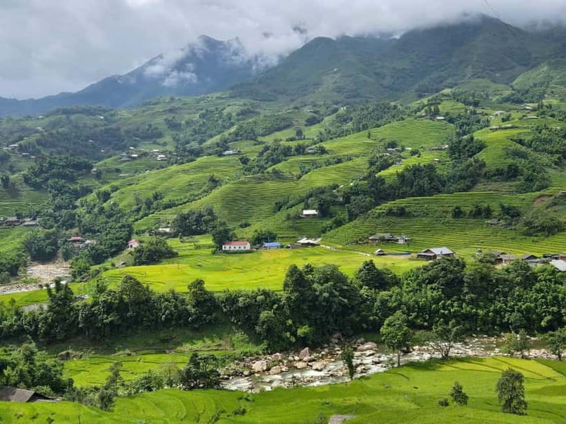 2 Night Lao Chai-Ta Van Homestay- Trekking & Fansipan Visit - Day 3: Bamboo forest, Giang Ta Chai, and the road home