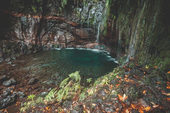 25 Fountains Levada: Hiking Tour in Madeira Rabaçal Valley (PR6) - The 800-meter tunnel and the final views