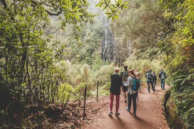 25 Fountains Levada: Hiking Tour in Madeira Rabaçal Valley (PR6) - Is $52.87 good value?