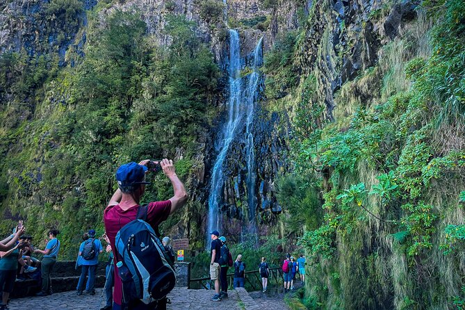 25 Fountains Levada: Hiking Tour in Madeira Rabaçal Valley (PR6) - Entering Madeira’s Laurissilva forest