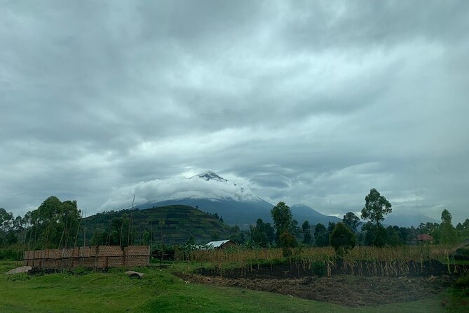 3 Day Gorilla Trek at Bwindi National Park via Kigali - Day 3: The long return to Kigali