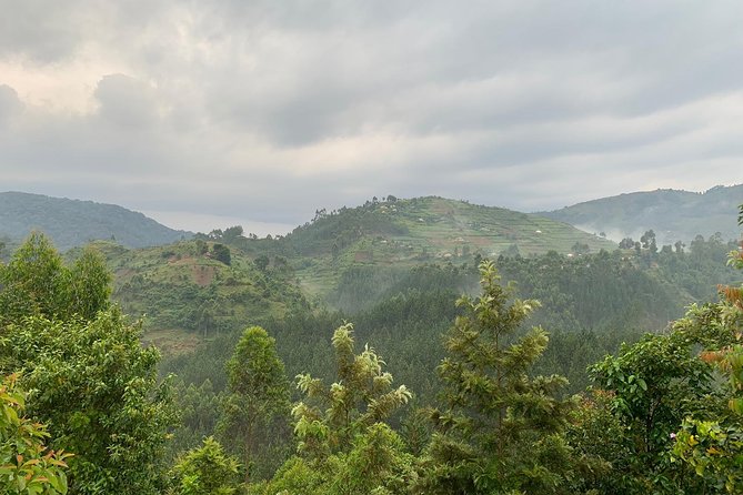 3 Day Gorilla Trek at Bwindi National Park via Kigali - What the $1,940 price really covers