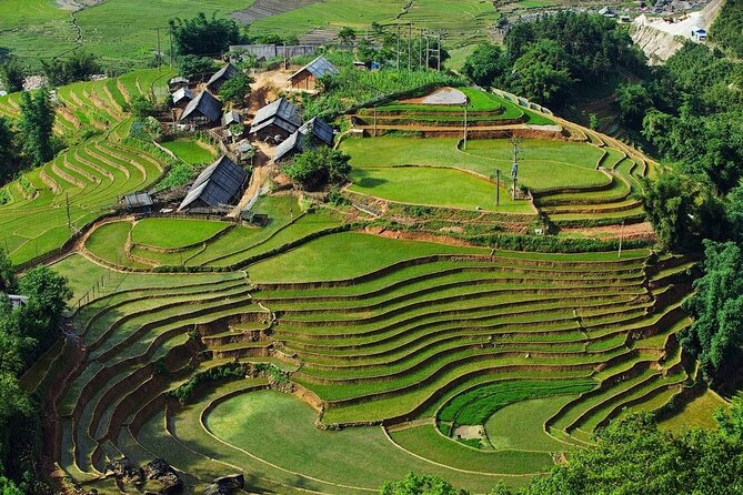 3-Day Trekking Adventure of Sapa from Hanoi - Stay Ta Van Village - Day two: bamboo forest trails to Giang Ta Chai
