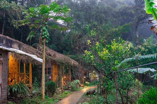 3-Day Trekking Adventure of Sapa from Hanoi - Stay Ta Van Village - Day one: Y Linh Ho and the Muong Hoa Valley