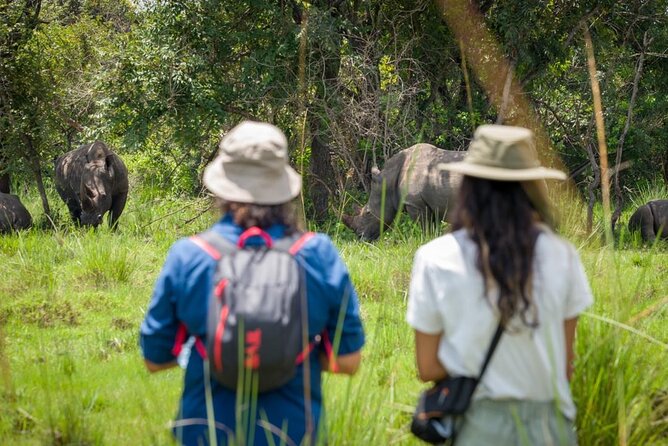 3 Days gorilla trekking Safari tour in Uganda - The real value of a $2,600 gorilla safari