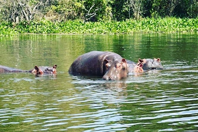 3 Days gorilla trekking Safari tour in Uganda - Lake Bunyonyi adds a quieter second story