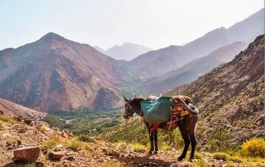 3 Days Trek Atlas Mountains Berber Villages from Marrakech - Day three through Matat and Ait Aissa