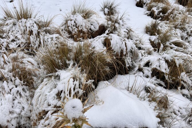 3 Hour Private Hike: Mountain Nevado Toluca from Mexico City - How Hard Is the Walk?