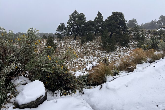 3 Hour Private Hike: Mountain Nevado Toluca from Mexico City - What to Pack for a Better Day