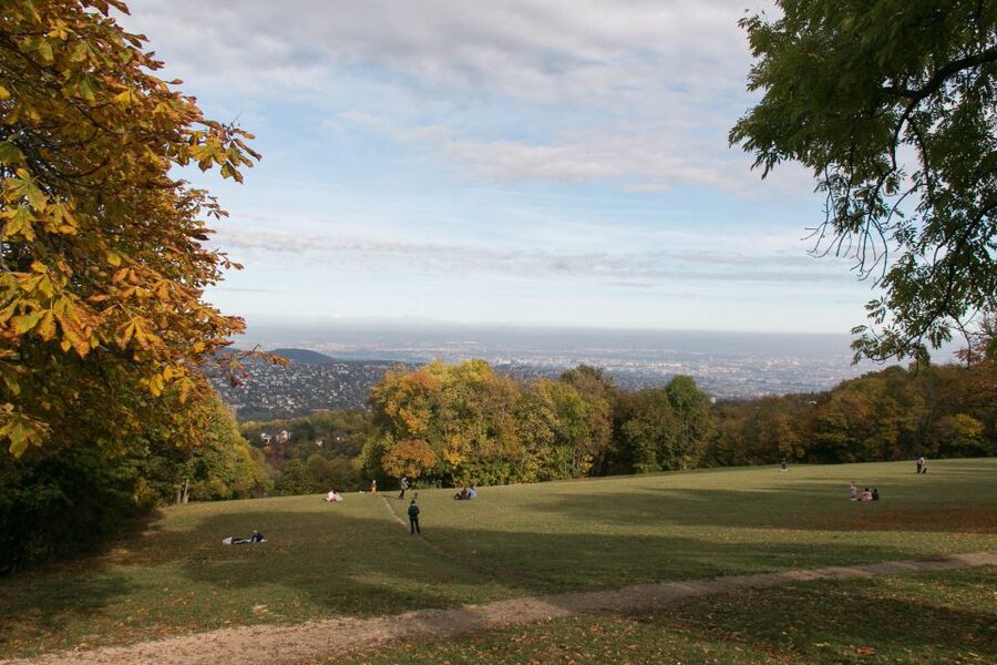 3Hour Outdoor Budapest Normafa Hike&History With a Historian - Key Points At A Glance
