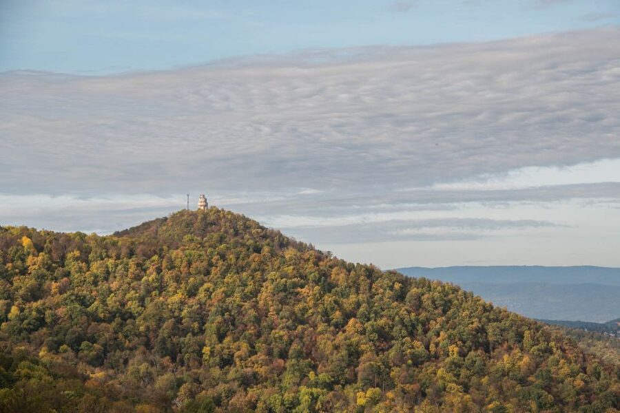 3Hour Outdoor Budapest Normafa Hike&History With a Historian - Walking From Normafa Into The Buda Hills