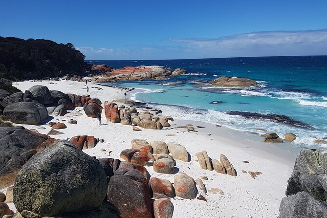 4 Day Wild Tasmania Tour / Wildlife, Nature, Hiking / Inc. Accom - Day two: Cradle Mountain and a night among wildlife