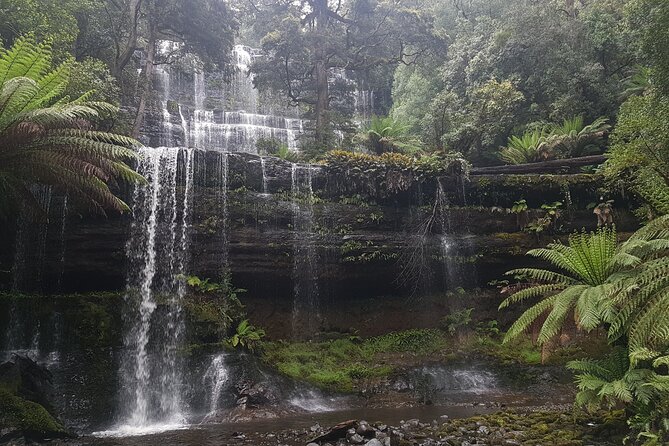 4 Day Wild Tasmania Tour / Wildlife, Nature, Hiking / Inc. Accom - What the guides add to the experience