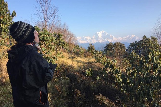 4 Days Poon Hill Trek - Starting from Kathmandu at 9:15 am
