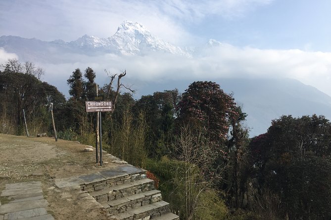 4 Days Poon Hill Trek - Tadapani adds forest and mountain views